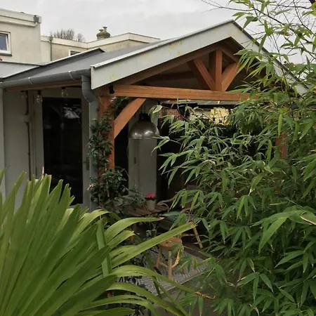 Beachstudio De Schelp Apartment