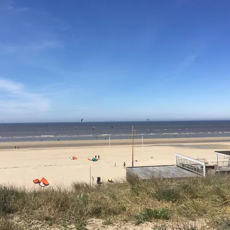 Beachstudio De Schelp ザントフォールト