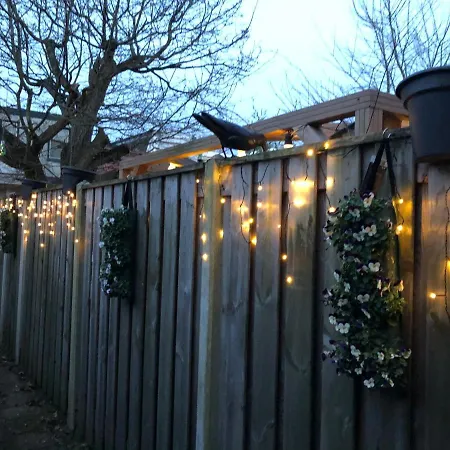 Beachstudio De Schelp شقة