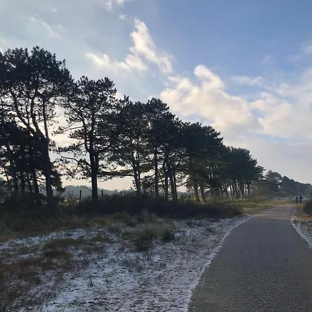 Apartment Beachstudio De Schelp