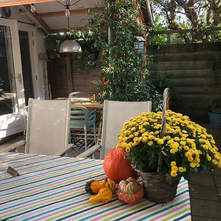 Beachstudio De Schelp *