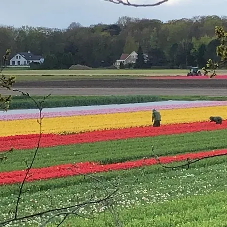 Beachstudio De Schelp شقة زاندفورت