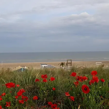 شقة Beachstudio De Schelp زاندفورت