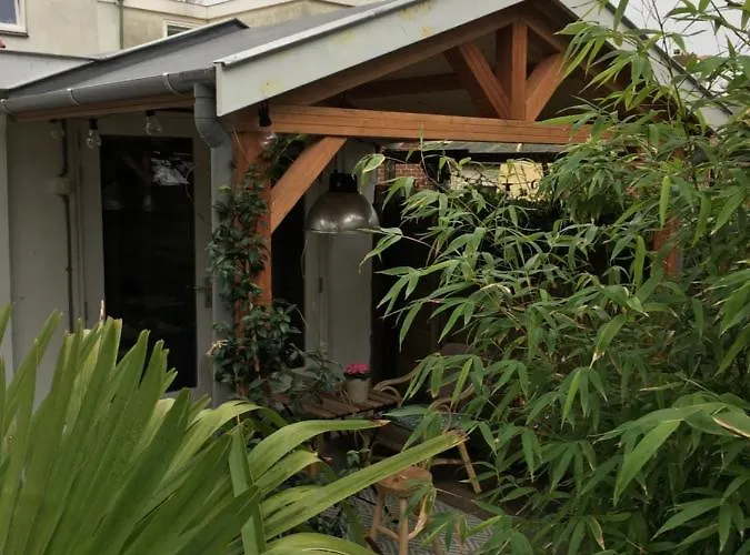 Beachstudio De Schelp 公寓