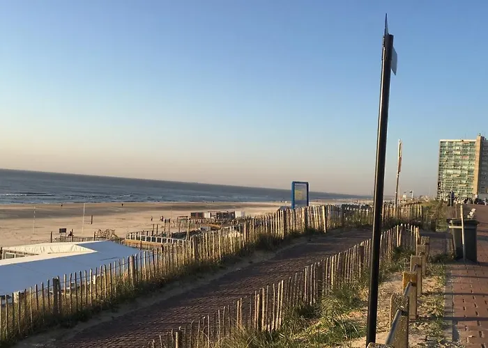 Beachstudio De Schelp Appartamento *