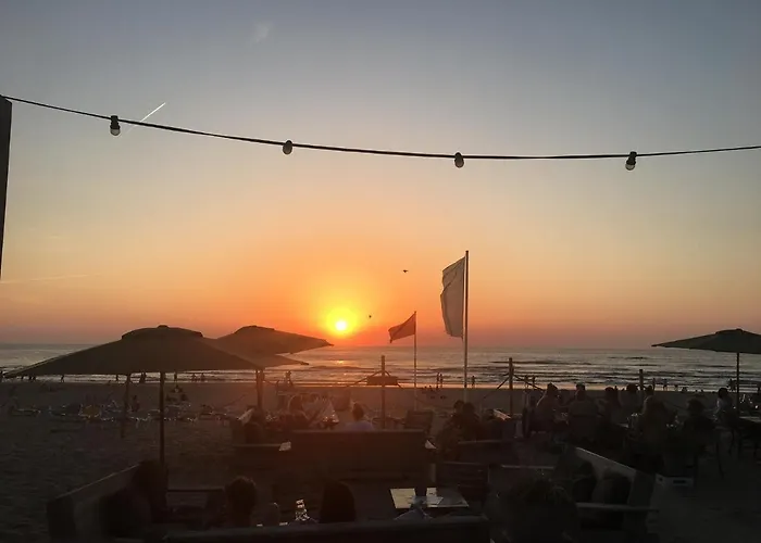 Beachstudio De Schelp * 赞德沃特