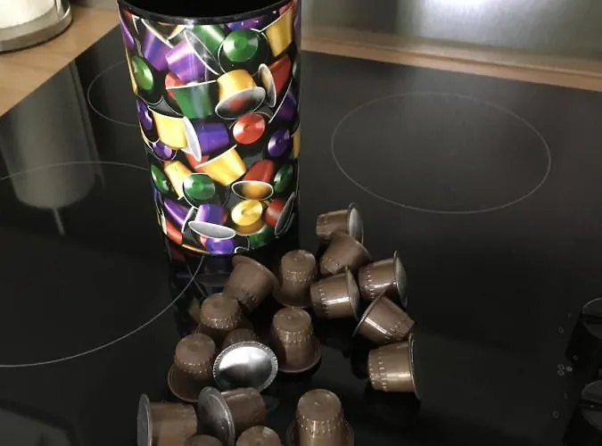 公寓 Beachstudio De Schelp *