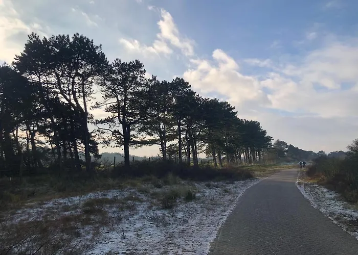 Appartamento Beachstudio De Schelp