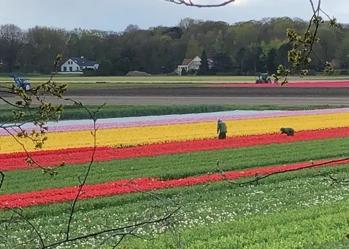 Beachstudio De Schelp Appartamento Zandvoort