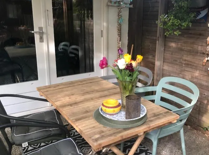 Beachstudio De Schelp *