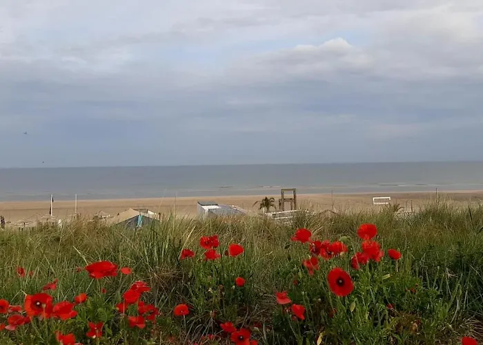 Appartamento Beachstudio De Schelp Zandvoort