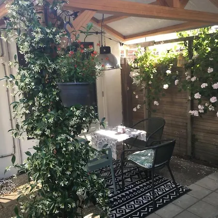 아파트 Beachstudio De Schelp *