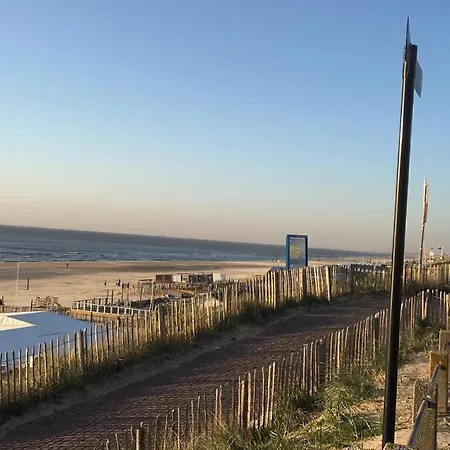 Beachstudio De Schelp 아파트 *