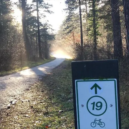 Beachstudio De Schelp *