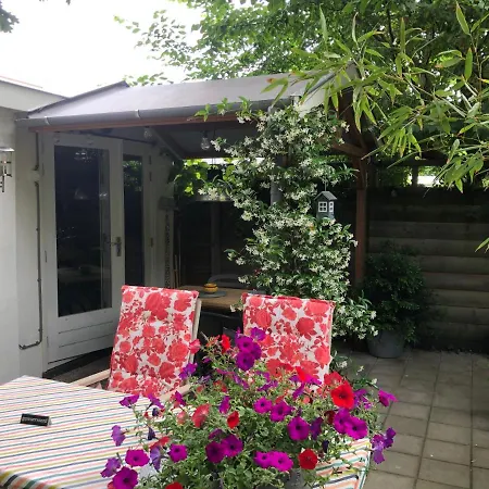 Beachstudio De Schelp 아파트 잔드보르트