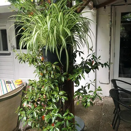 Beachstudio De Schelp 잔드보르트