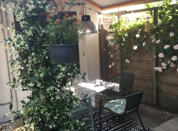 Apartman Beachstudio De Schelp *