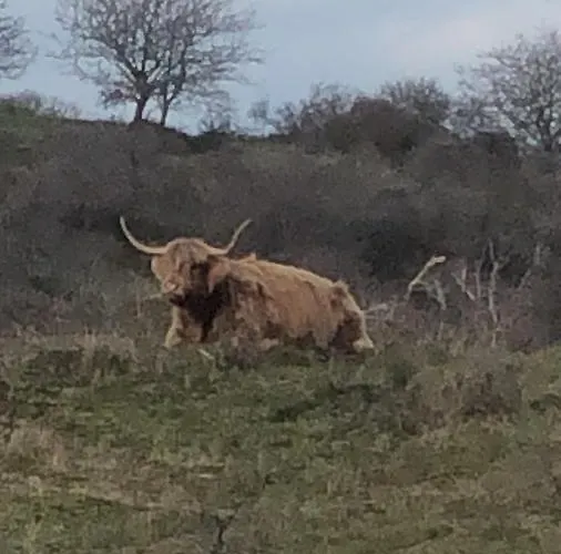 Beachstudio De Schelp Zandvoort