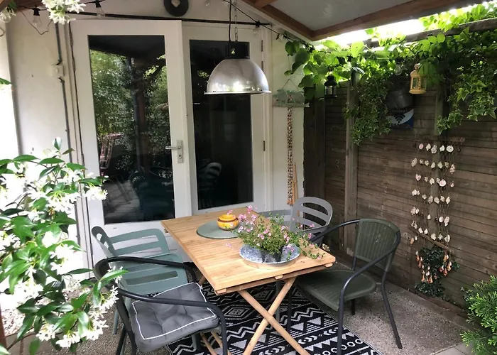 Apartman Beachstudio De Schelp