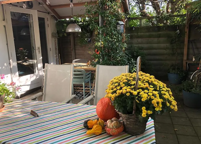 Beachstudio De Schelp *