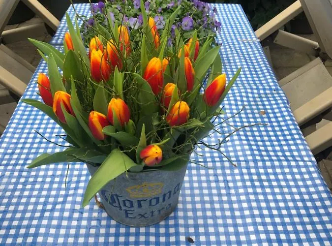 Beachstudio De Schelp Zandvoort